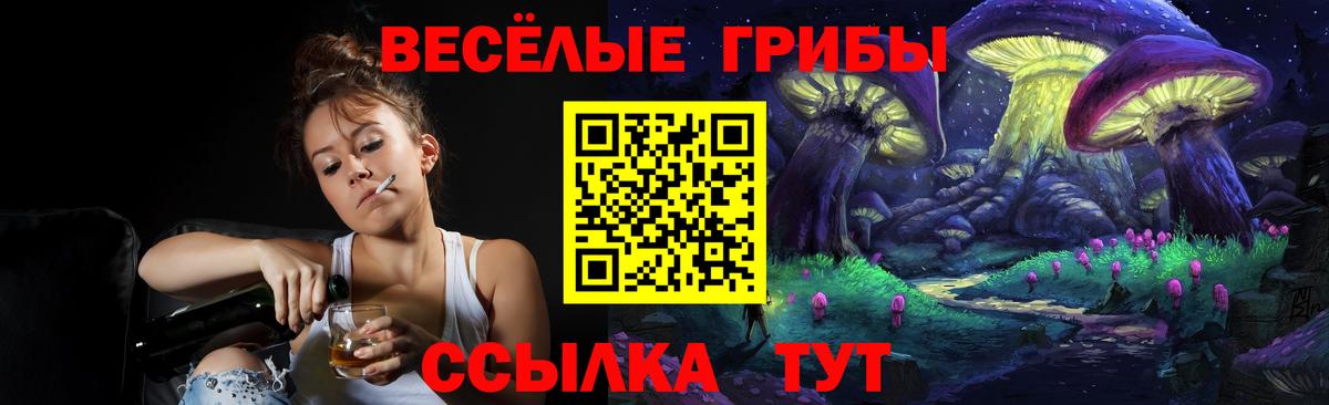 Галлюциногенные грибы Cubensis Йошкар-Ола