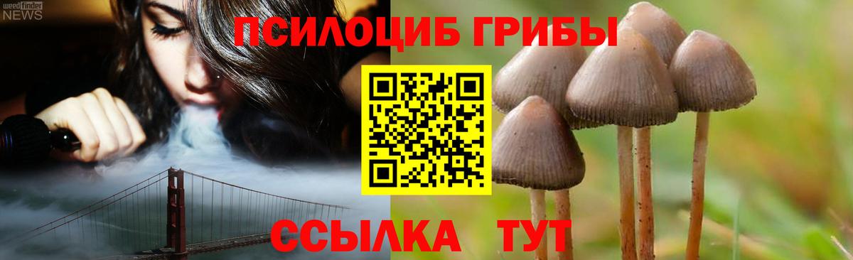 Галлюциногенные грибы прущие грибы  Вход с VPN  Йошкар-Ола  Псилоцибиновые грибы GOLDEN TEACHER 
